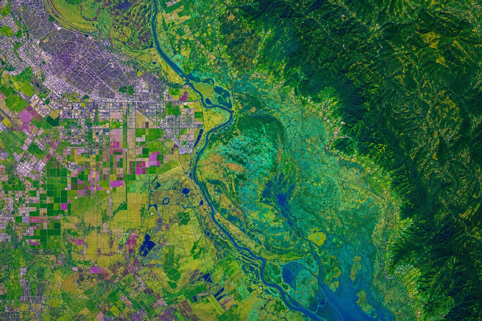 OlmoEarth : exporter des embeddings satellite pour analyser un territoire